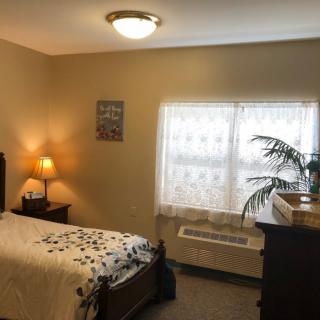 A cozy bedroom with a single bed, bedside table, lamp, and a plant near the window.