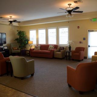 A cozy living room area with sofas and armchairs arranged around a carpet, illuminated by natural light from large windows.