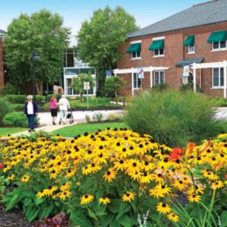 A vibrant garden with yellow flowers in front of a brick building, with people walking along the pathway on a sunny day.