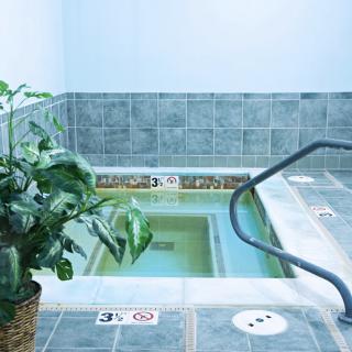 An indoor hot tub with surrounding tiles and a potted plant.