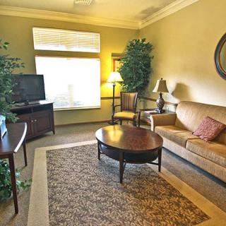 A cozy living room with a sofa, coffee table, television, and indoor plants.