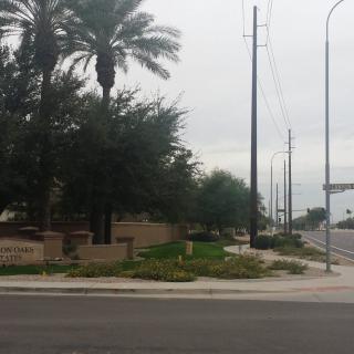 A suburban street lined with palm trees and power lines on an overcast day.