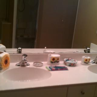 A bathroom counter with a sink, toilet paper, and soap.