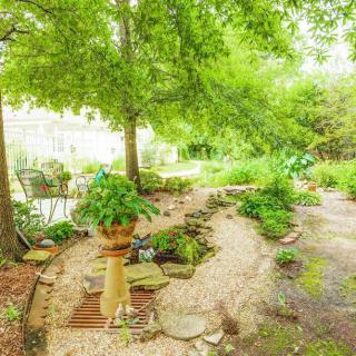 A lush garden with a winding pathway surrounded by trees and various plants.