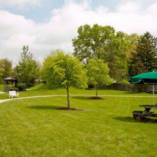 A serene park scene with a grassy area, trees, and a pathway leading through the landscape.
