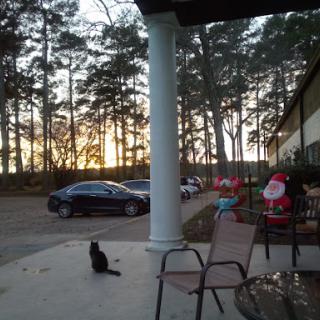 A peaceful evening scene featuring a cat sitting on the porch, with a beautiful sunset illuminating the trees in the background.