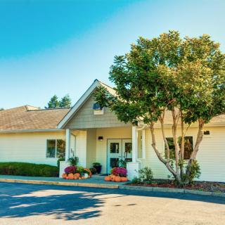 A suburban house with a tree in the front yard under a clear blue sky.