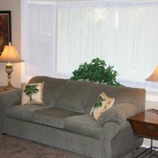 A cozy living room with a sofa, lamps, and an indoor plant by the window.