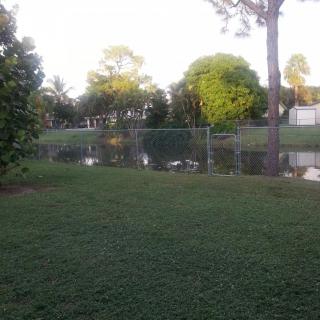 A peaceful backyard with a grassy lawn, fenced area, and a pond surrounded by trees.