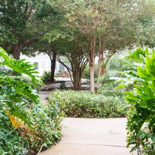 A serene garden pathway surrounded by lush greenery and trees.