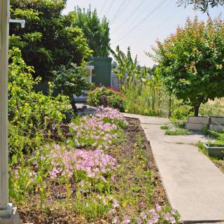 A tranquil garden pathway lined with blooming flowers and trees, featuring a bench for relaxation.