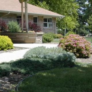 A well-maintained garden with shrubs and trees in front of a house.
