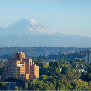 A cityscape with buildings in the foreground and a snow-capped mountain in the background.