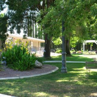 A serene garden with a winding pathway, lush greenery, and a gazebo.