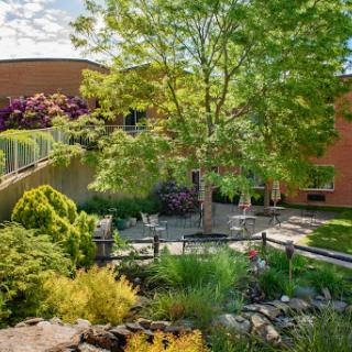A serene garden landscape featuring vibrant greenery and a tranquil pathway.