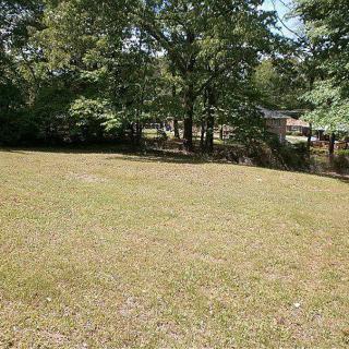 A grassy yard with trees in the background under a clear sky.