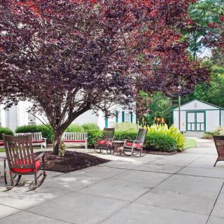 A serene outdoor garden area featuring a tree with purple foliage, surrounded by patio furniture and a small building in the background.