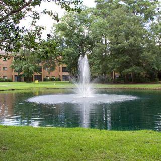 A tranquil pond with a central fountain surrounded by lush greenery and trees.