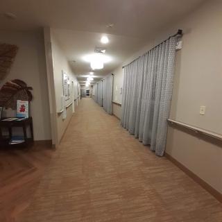 A long hallway with curtains on one side and ceiling lights illuminating the corridor.