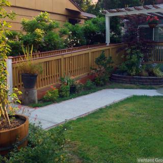 A well-maintained backyard garden with a lawn, plants, and a wooden pergola.