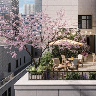 A serene balcony adorned with blooming cherry blossoms, perfect for outdoor relaxation in an urban setting.