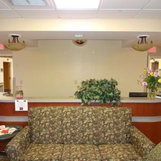 A waiting room with a floral-patterned couch, plants, and a reception desk in the background.