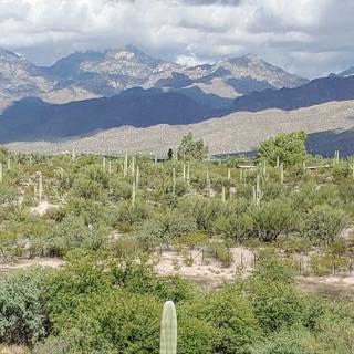 A scenic desert landscape with cacti and mountains under a cloudy sky.