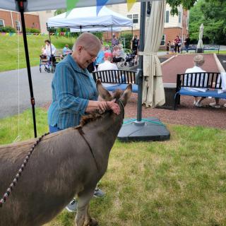 A person interacts with an animal outdoors at an event.