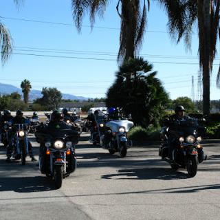 A group of motorcycles cruising under the sunny sky, surrounded by palm trees and mountains in the distance.