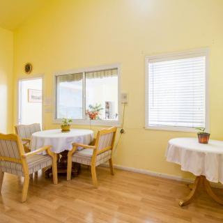 A bright dining area with yellow walls, featuring tables and chairs, decorated with small plants near the windows.