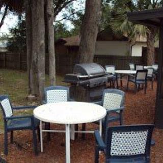 An outdoor patio area with a table, chairs, and a grill set amid trees.