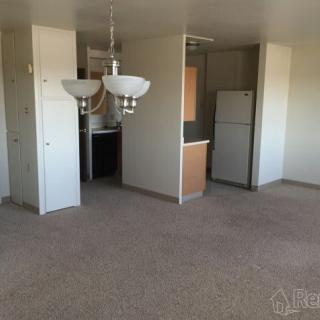 An empty apartment interior showing a kitchen area with a refrigerator, carpeted floors, and ceiling lighting fixtures.