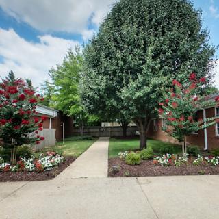 A serene walkway surrounded by vibrant flowers and lush greenery.