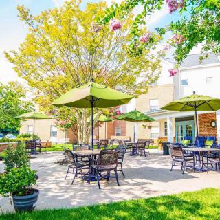 A sunny patio area with tables, chairs, and green umbrellas surrounded by lush trees.