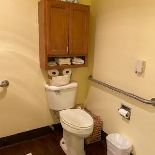 A small bathroom with a toilet, storage cabinet, and handrails.