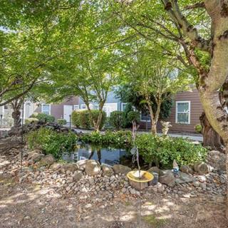 A serene garden featuring lush trees and a tranquil pond.