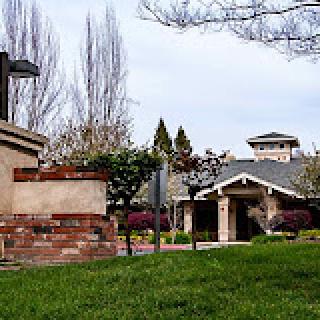 A scenic view of a building surrounded by lush greenery and trees.