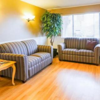 A cozy living room with striped sofas, a coffee table, and natural lighting from a large window.