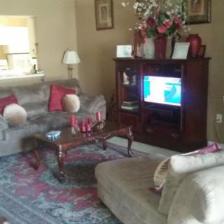 A cozy living room with sofas, a coffee table, a television, and decorative elements.