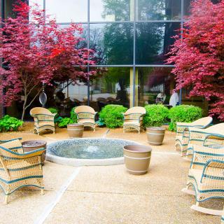 A modern outdoor patio with wicker furniture, surrounded by vibrant greenery and red-leaved trees.