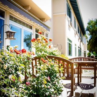 A sunny patio with blooming flowers, a wooden table, and chairs.