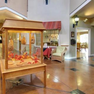 A welcoming reception area featuring a decorative fish tank and comfortable seating.
