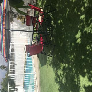 A sunny backyard with a swimming pool, outdoor furniture, and a striped umbrella casting shadows on the grass.
