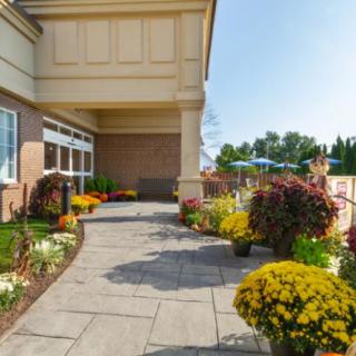 A well-maintained garden pathway lined with colorful flowers beside a building on a sunny day.
