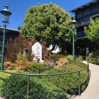 A vibrant garden with lush greenery and colorful flowers surrounded by a building and lamp posts.