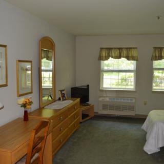 A cozy bedroom with a dresser, mirror, and television under two windows.