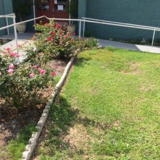 A neatly maintained garden with rose bushes and a green lawn bordered by a sidewalk and railings.
