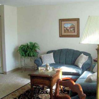 A cozy living room with a blue sofa, wooden coffee table, and decorative plant.
