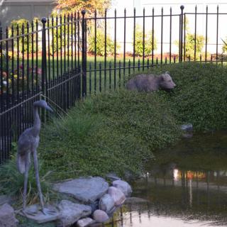 A heron and an opossum near a pond, with a fence in the background.