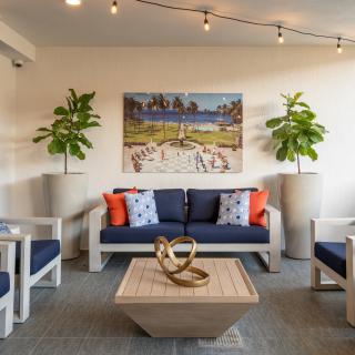 A modern living room featuring a navy sofa with colorful decorative pillows, a wooden coffee table, indoor plants in large pots, and string lights for ambient lighting.